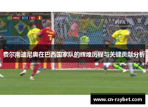 费尔南迪尼奥在巴西国家队的辉煌历程与关键贡献分析