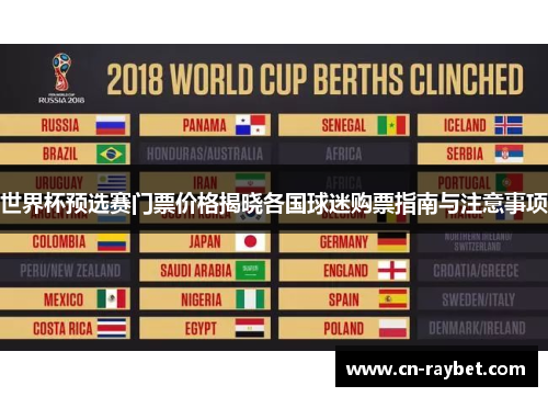世界杯预选赛门票价格揭晓各国球迷购票指南与注意事项