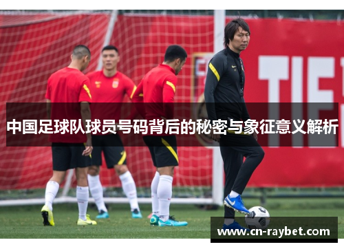 中国足球队球员号码背后的秘密与象征意义解析