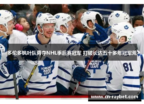 多伦多枫叶队勇夺NHL季后赛冠军 打破长达五十多年冠军荒