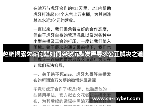 赵鹏揭露欠薪问题如何突破沉默发声寻求公正解决之道